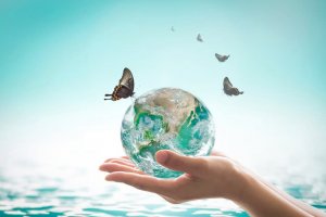 Os Seres Vivos e o Meio Ambiente