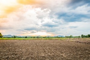 Introdução à Análise de Solos